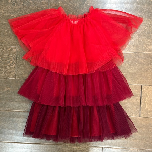 H&M Other - H&M Red and Burgundy Layered Tulle Dress